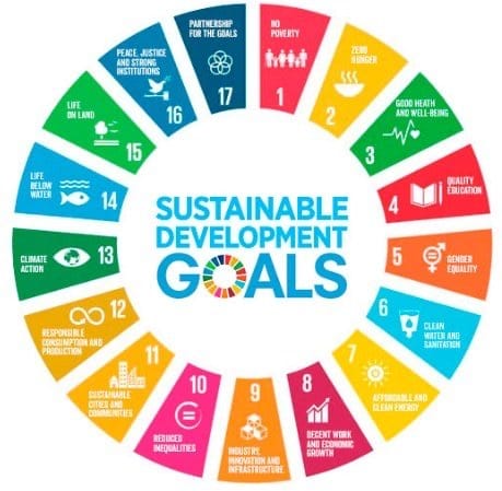 Agenda 2030 a SDGs (Sustainable Development Goals) súbor 17 cieľov OSN a jej nebezpečenstvá